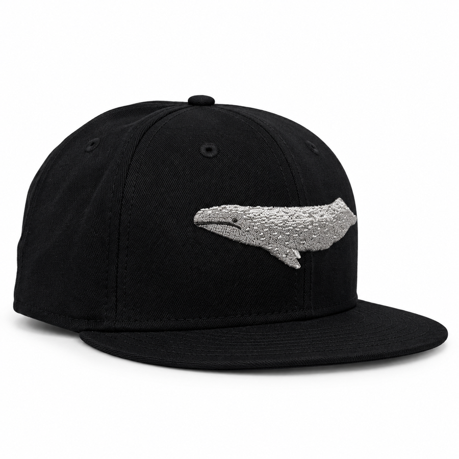 Bay Waters Whale black and silver fitted hat, three-quarter view
