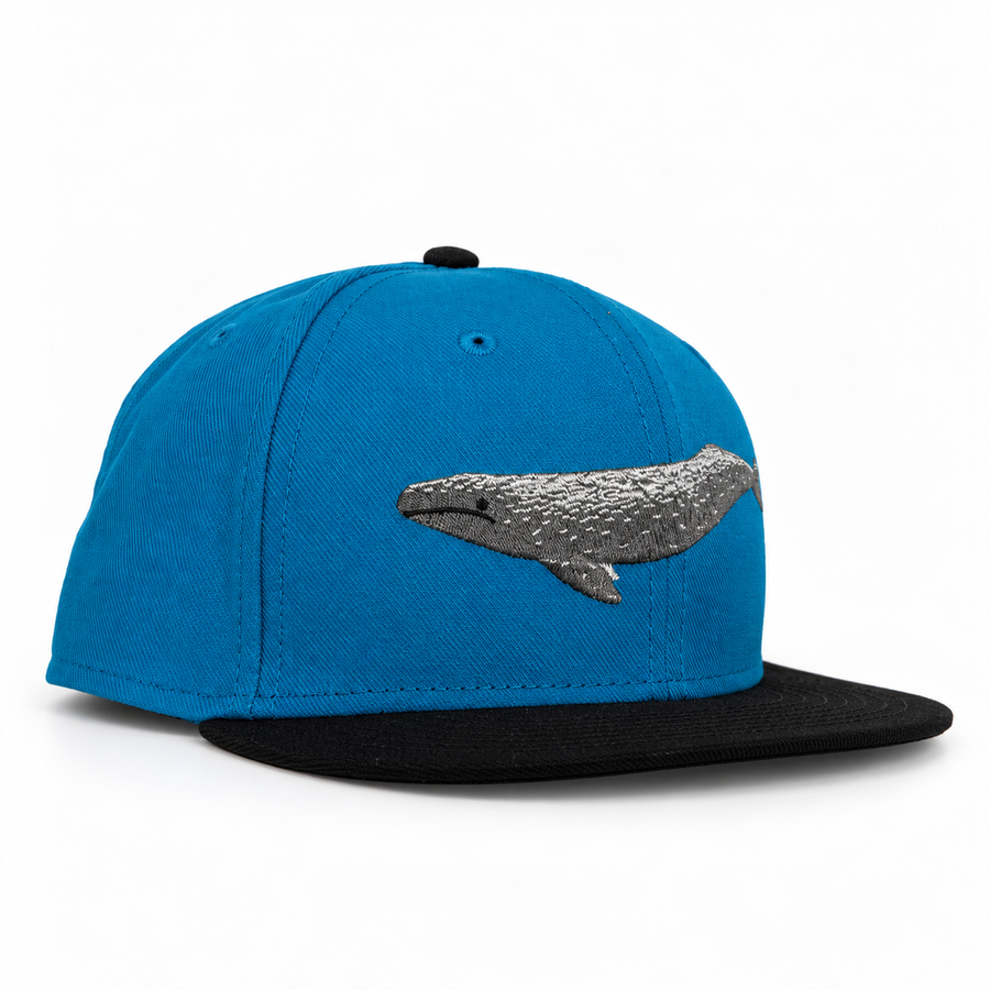 Bay Waters Whale blue and black fitted hat — 01 three quarter