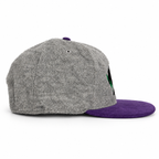 CaliBear Chronic in Grey/Purple Limited Snapback hat, side view