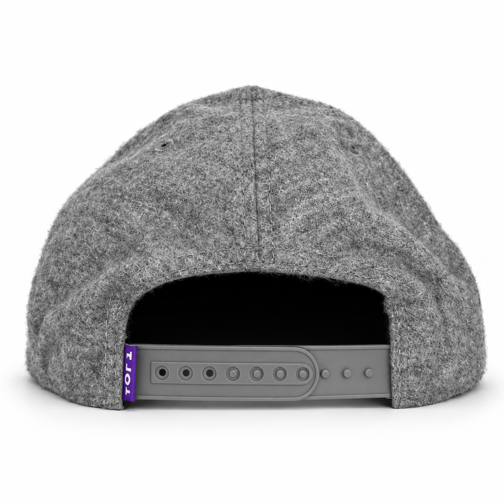 CaliBear Chronic in Grey/Purple Limited Snapback hat, rear view
