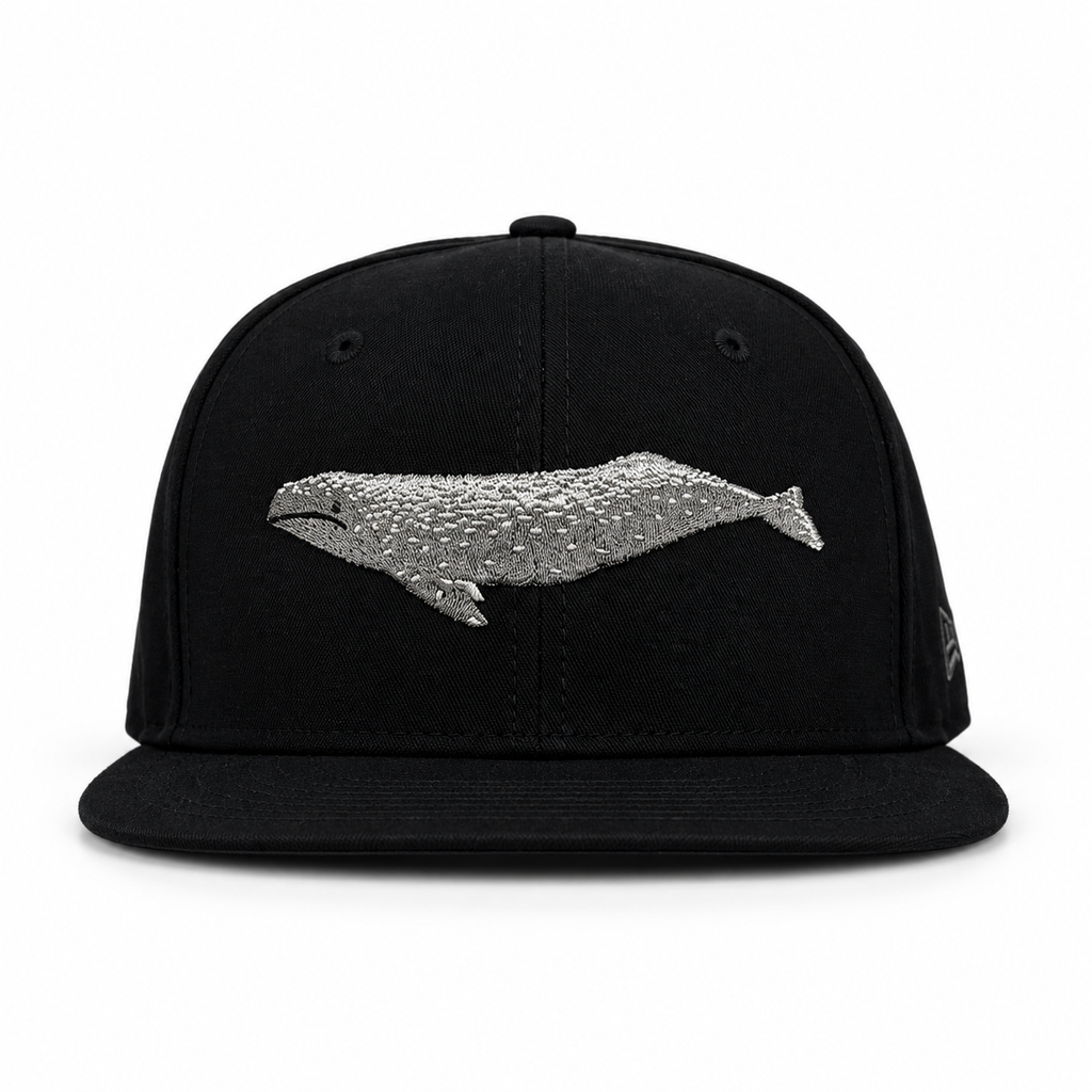Bay Waters Whale black and silver fitted hat, front view