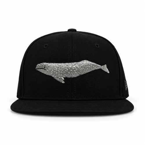 Bay Waters Whale black and silver fitted hat, front view