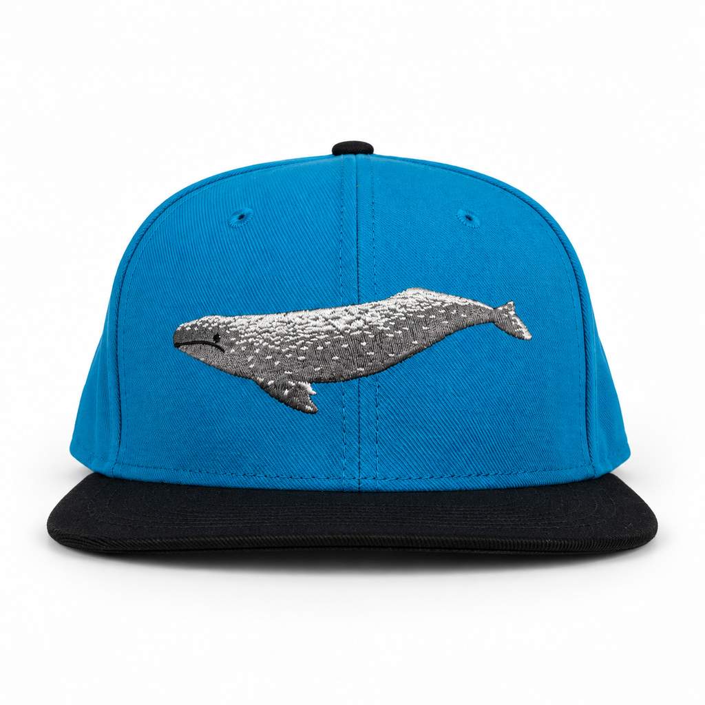 Bay Waters Whale blue and black fitted hat — 02 front