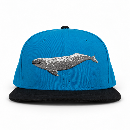 Bay Waters Whale blue and black fitted hat — 02 front