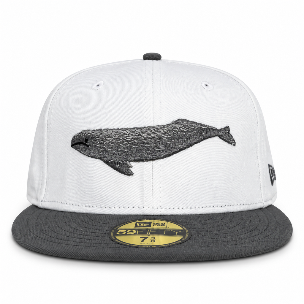 Bay Waters Whale white and gray fitted hat, front view