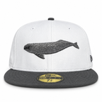 Bay Waters Whale white and gray fitted hat, front view