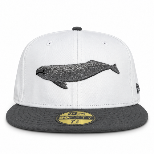 Bay Waters Whale white and gray fitted hat, front view