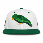 White and green Telegraph Hill Parrot fitted hat front