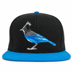 Steller's Jay Snapback — front view on white background
