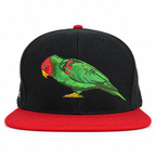 Front view of Yofi Telegraph Hill parrot snapback with black crown and red brim