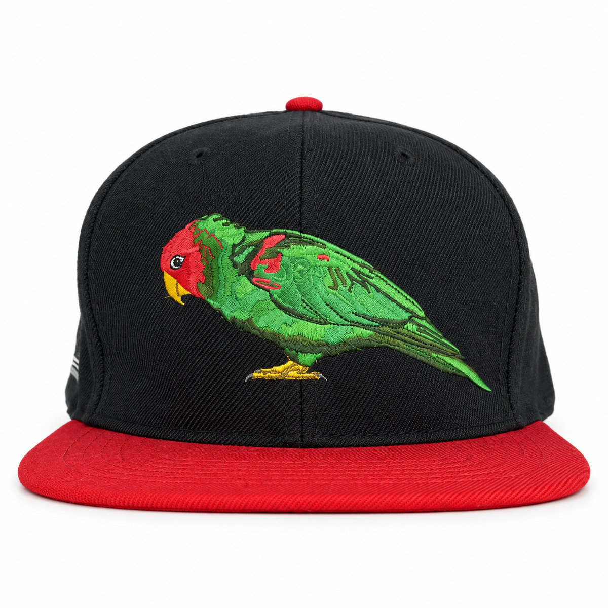 Front view of Yofi Telegraph Hill parrot snapback with black crown and red brim