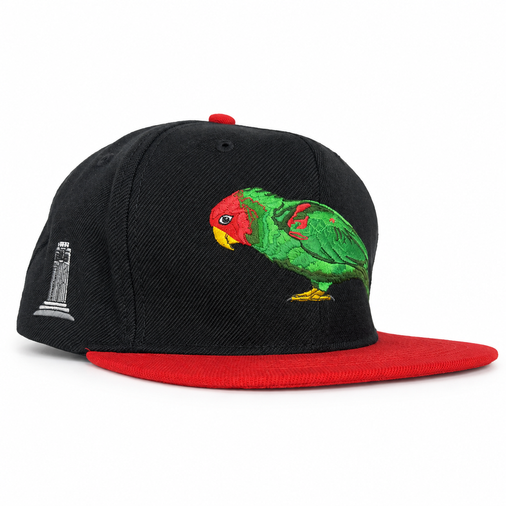 Three-quarter view showing parrot and Coit Tower embroidery